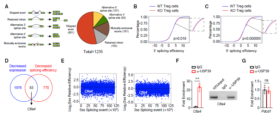 上海交大团队揭示乳酸如何影响免疫治疗的效果