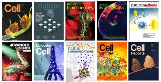 Synaptic Systems自产自销，促销不要错过~