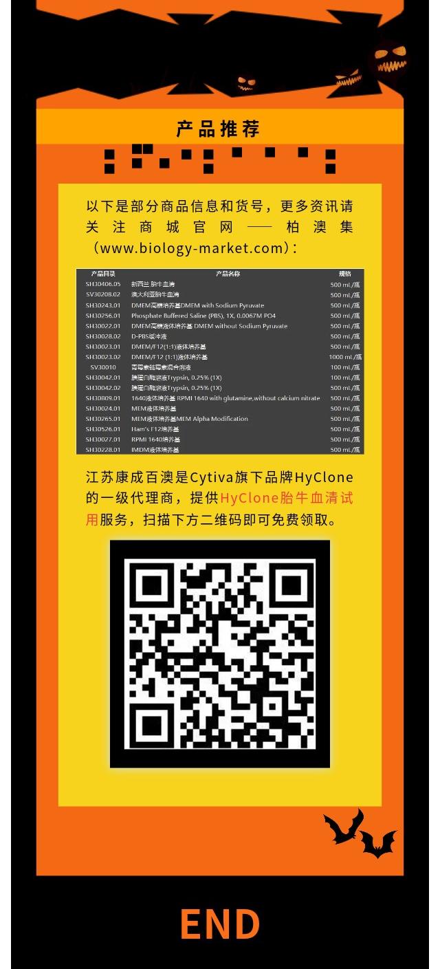 新闻图片4