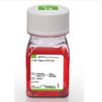 Gibco 25200-056胰酶