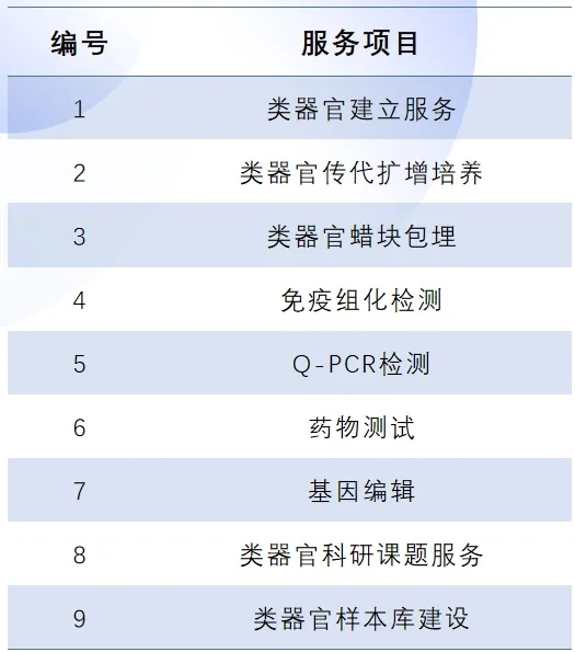 新闻图片10