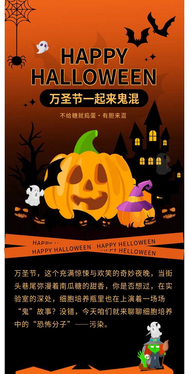 万圣节惊悚夜：细胞培养的“鬼”故事——污染大冒险