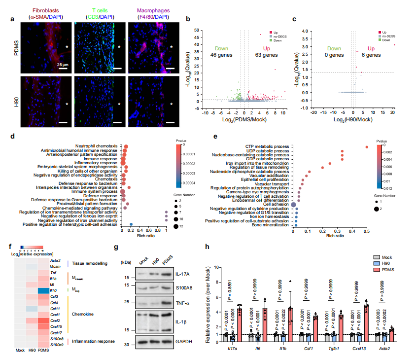 文献集锦│2024年三季度Clinx勤翔ChemiScope系列成像产品应用摘要