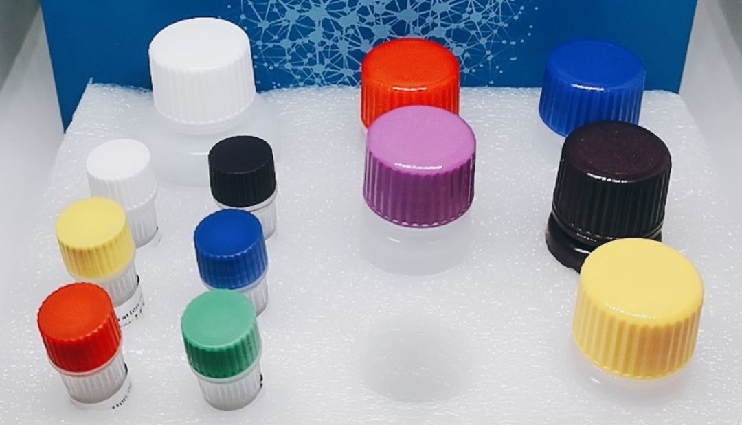 TRIzol RNA提取试剂盒操作说明