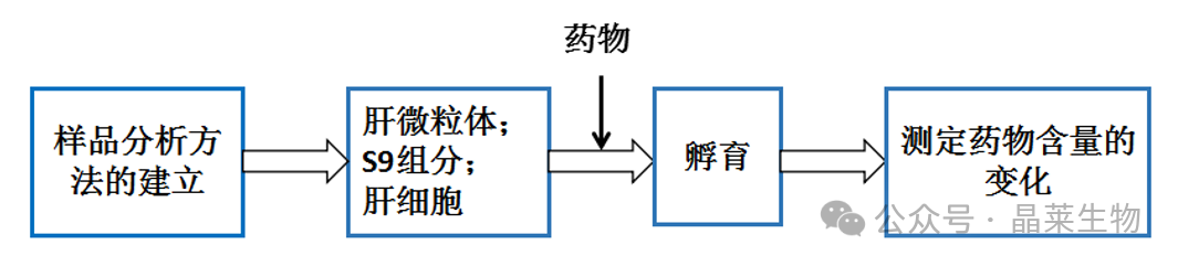 1730776483788760.png 640_wx_fmt=png&from=appmsg (5).png