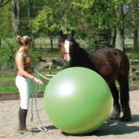 Megaball 多功能超大瑜伽球健身球