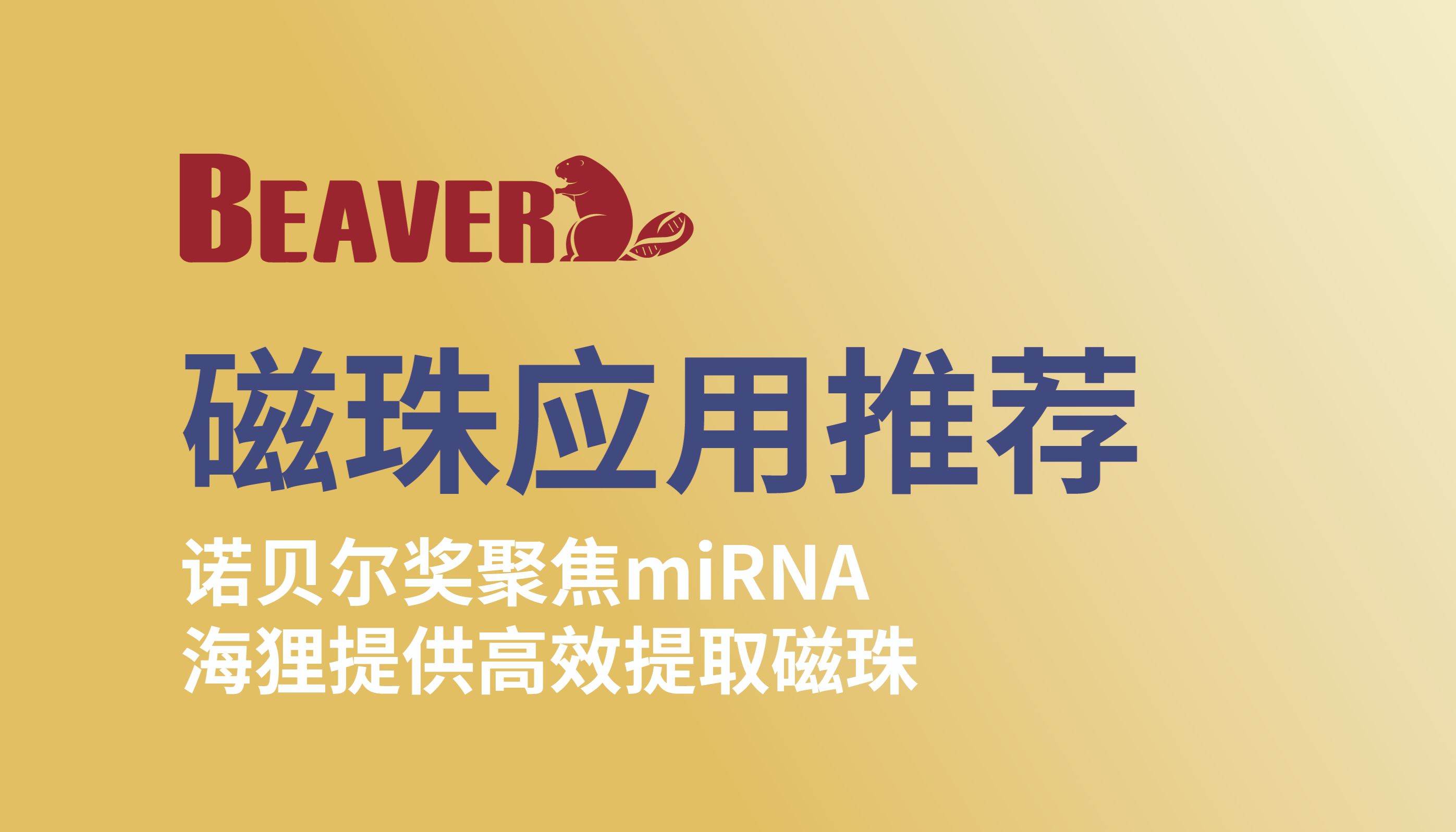 诺贝尔奖聚焦miRNA，海狸提供高效提取磁珠