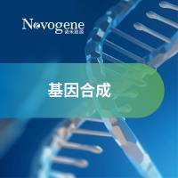基因合成
