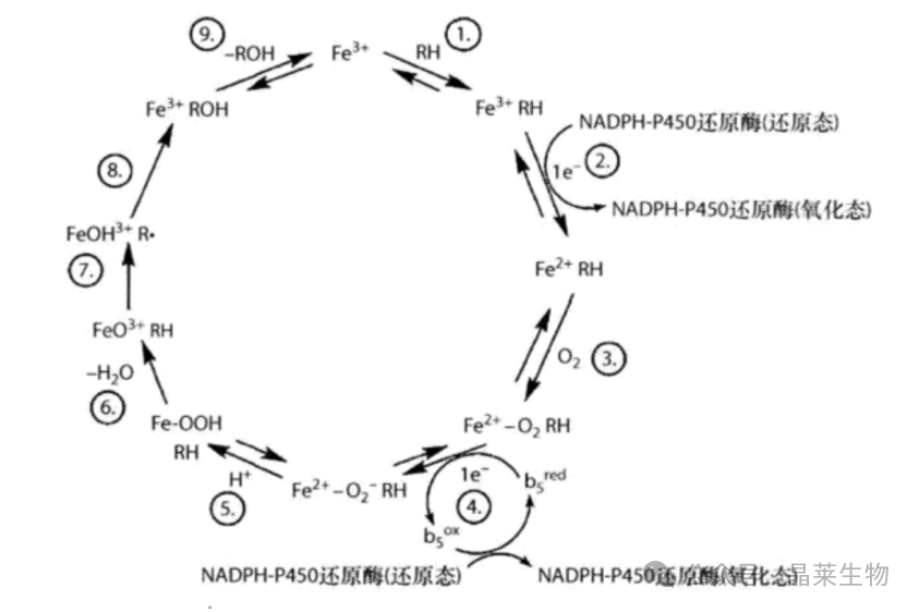 1730776465522706.png 640_wx_fmt=png&from=appmsg (2).png