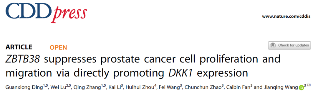 如何设计基因功能研究思路？