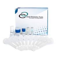 ClickChemistryTools 1065 点击化学标记蛋白捕获试剂盒Click-&-Go Click Chemistry Capture Kit