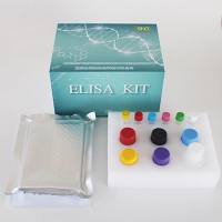 微生物(Microorganism)多聚磷suan盐激酶(PPK)ELISA检测试剂盒|Microorganism PPK ELISA Kit