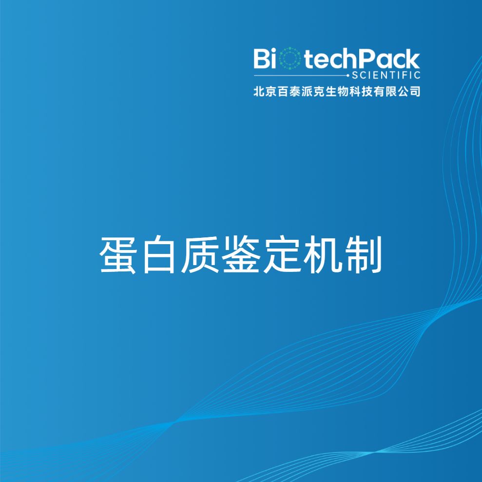 蛋白质鉴定机制产品图