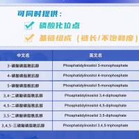 手性分离分析PIPS