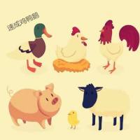 速成肉抗生素类快速检测卡（兽药残留）