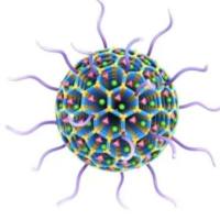 PEG-b-PLLA纳米胶束包封阿霉素（DOX）和超顺磁性氧化铁纳米颗粒