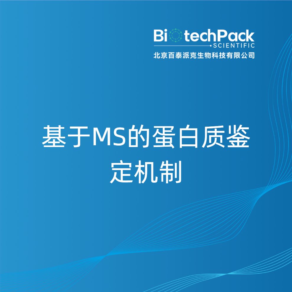 基于MS的蛋白质鉴定机制产品图