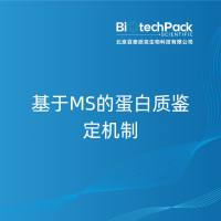 基于MS的蛋白质鉴定机制