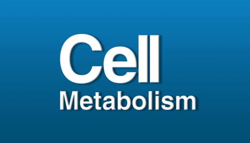 Cell Metabolism：税光厚/郑明华/王福生合作揭示MASLD纤维化脂质生物标志物及脂蛋白硫苷酯的潜在功能