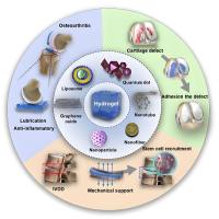 聚乙二醇（PEG）-聚磷 酸酯（PPAE）纳米凝胶被甘露糖（Man）修饰