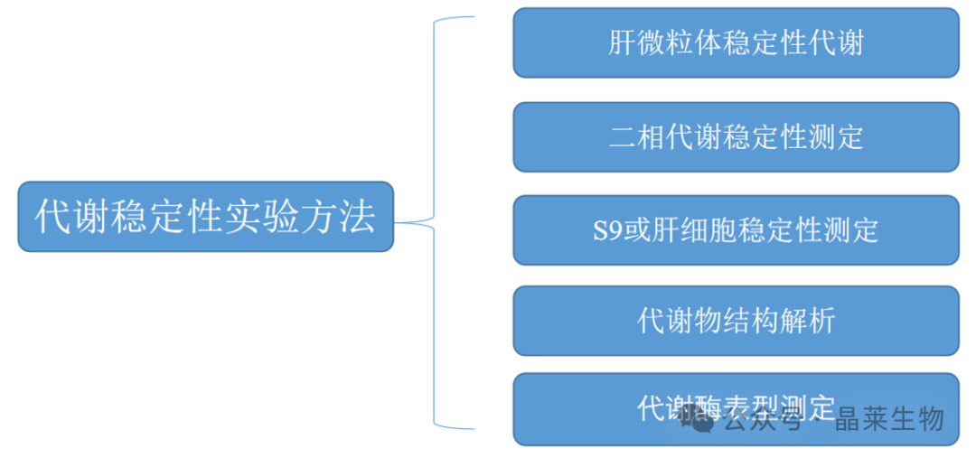 1730776496867523.png 640_wx_fmt=png&from=appmsg (7).png