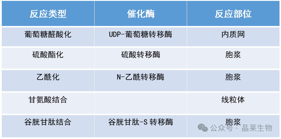 1730776477307945.png 640_wx_fmt=png&from=appmsg (4).png