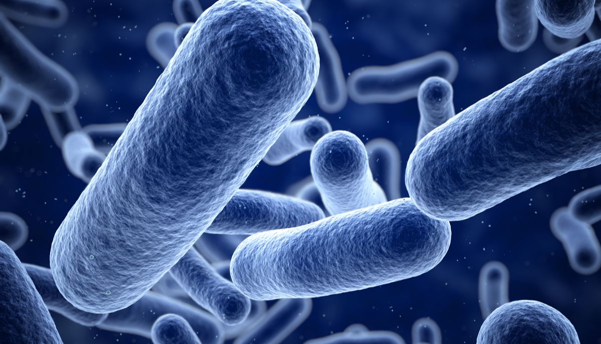 质量控制 | 支原体污染，不容忽视！ 