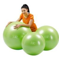 Physio Gymnic Plus  圆形防爆瑜伽球