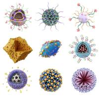 负载5-氮杂-2′-脱氧胞苷（DAC）的PEG-PCL纳米粒被αPD-1修饰