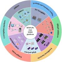 纳米杂化肽水凝胶被二维纳米材料修饰