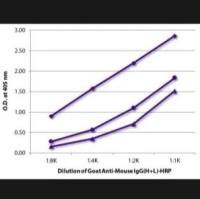 Southern Biotech 山羊抗小鼠 IgG（H+L）-HRP多克隆