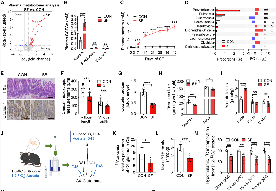 Cell Metabolism | 电生理/膜片钳技术揭示睡眠中断期间促进正常代谢和认知的关键因素