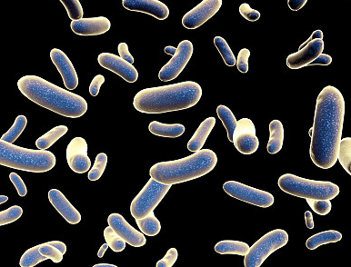 ​微生物内毒素检测注意事项