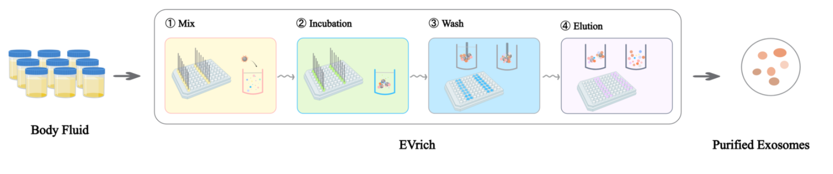 外泌体全自动提取仪(EVrich)