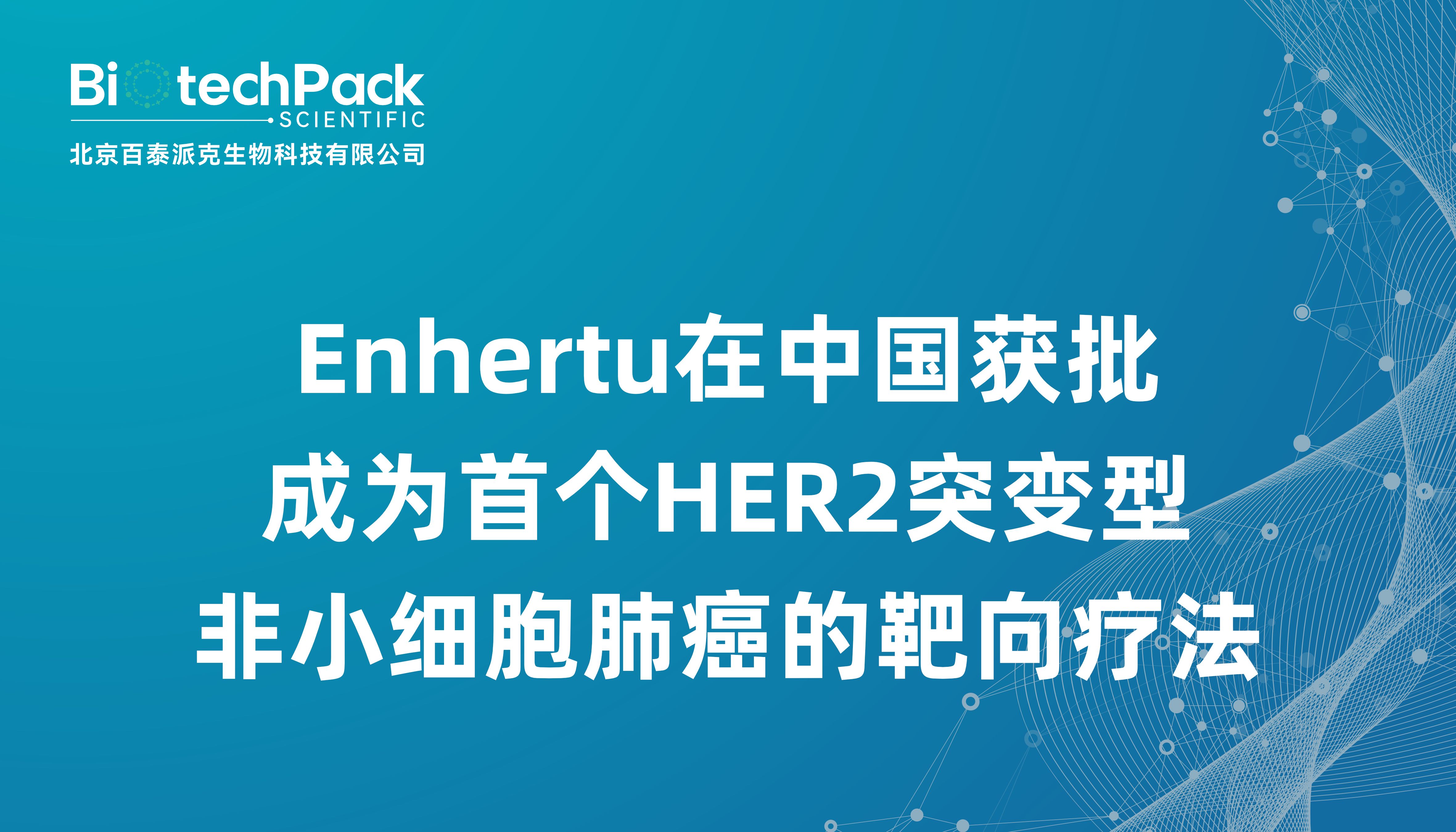 Enhertu在中国获批，成为第一个HER2突变型非小细胞肺癌的靶向疗法