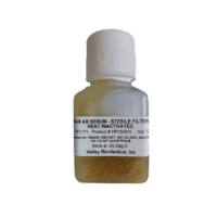 ValleybioMedical  HP1022HI/HUMANABSRMP-HI-1  Valley biomedical/BioIVT人AB血清Human AB Serum