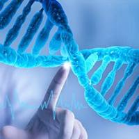 大规模AAV载体CDMO服务