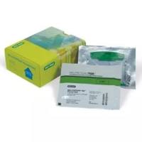 Bio-Rad伯乐4561083 TGX预制胶4-15% 10well 30ul