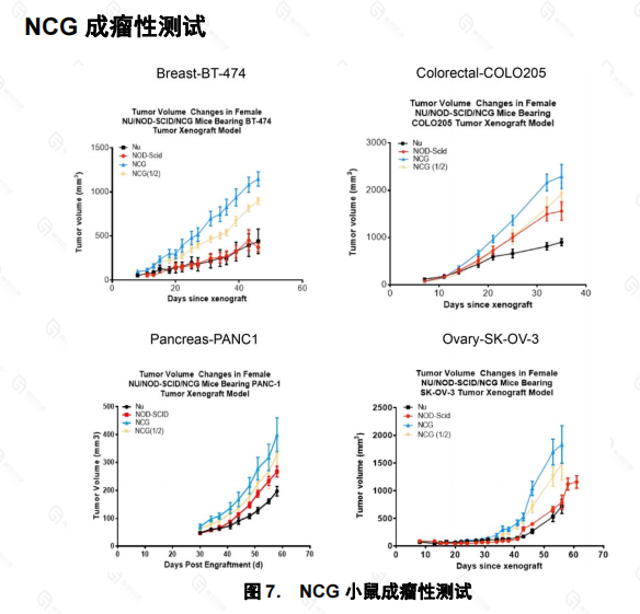 产品细节图片13