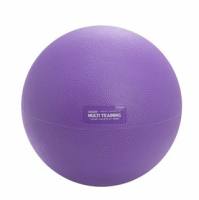 Multi Training 多功能圆形健身球