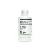 SurModics  APHP-0100-01  碱性磷酸酶/辣根过氧化物酶阻滞剂