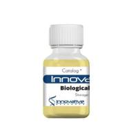 Innovative Research ISERABHI100ML 正常人AB血清Human AB Serum Heat Inactivated