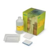 伯乐BIO-RAD1704272 0.2µm PVDF转移套件，用于40个印迹Trans-Blot Turbo RTA Trans-Blot Turbo RTA Mini 0.2 µm PVDF Transfer Kit, for 40 blots