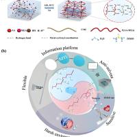 水凝胶包封氧化碳纳米管（CNT）和氨基酸