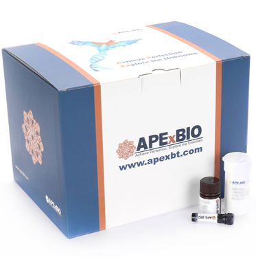 Apexbio 细胞增殖试剂盒(CCK-8)