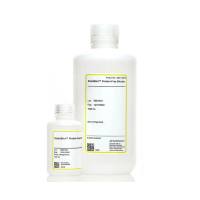 SurModics SB05-0125-01 StabilBlot™ 酪蛋白阻滞剂-5X,TBS