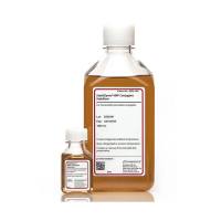 SurModics SZ02-1000 StabilZyme™HRP偶联稳定剂