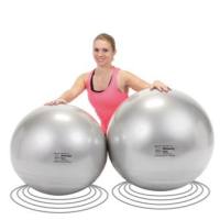 Memory Ball圆形防爆训练瑜伽球