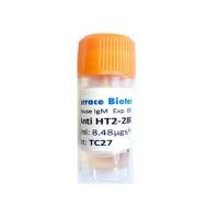TerraceBiotech TB-27AHT2-280 Terrace Biotech抗人肺泡II型细胞HT2-280小鼠IgM单克隆抗体