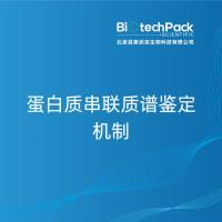 蛋白质串联质谱鉴定机制